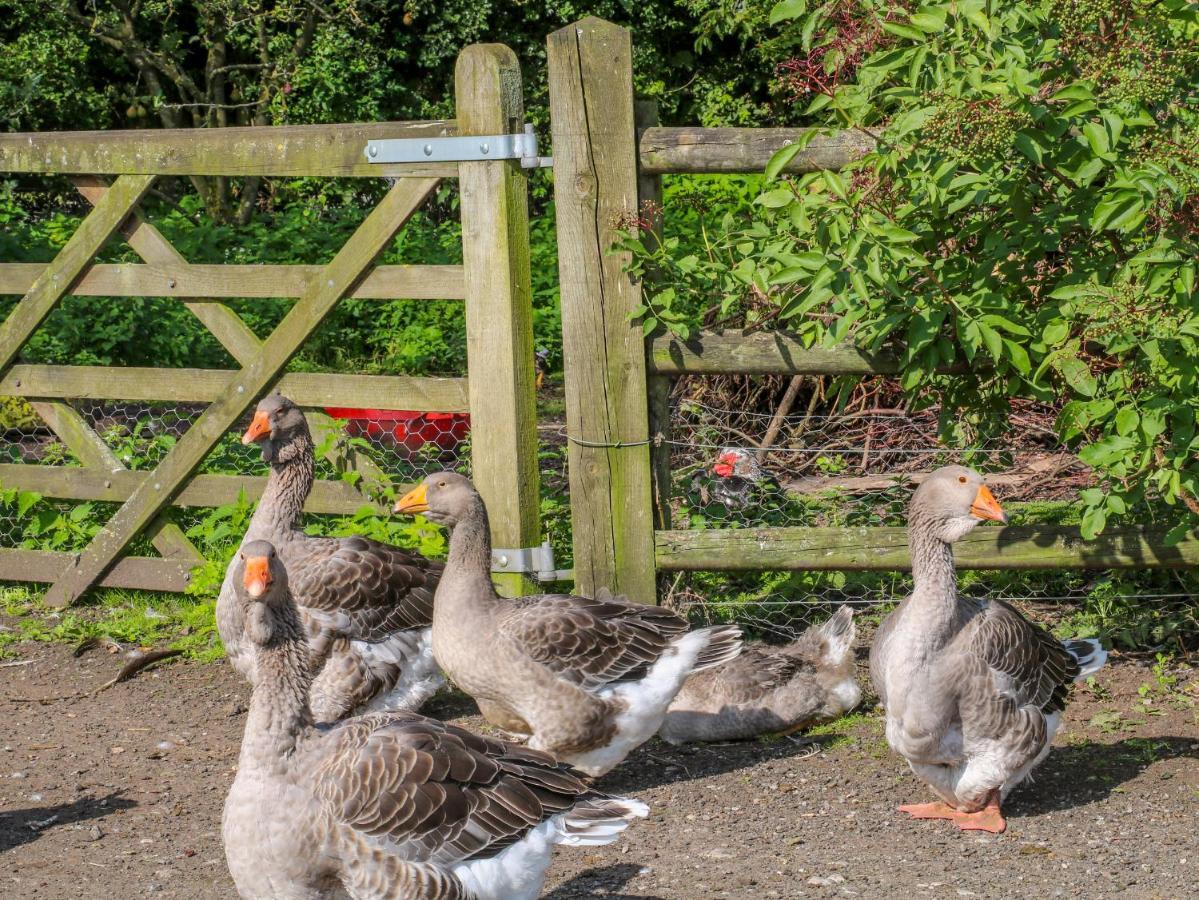Holiday home Chequer Stable