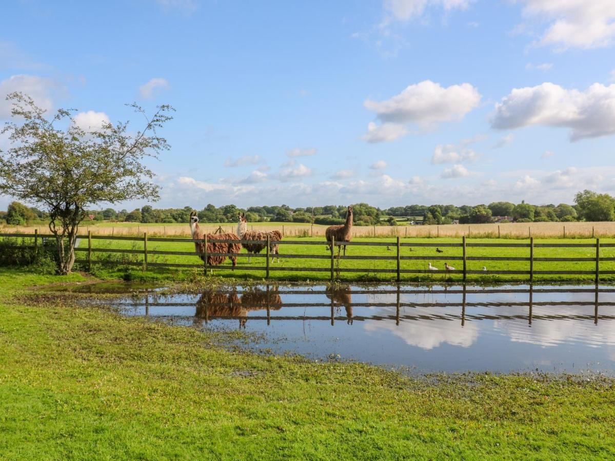 Chequer Stable Holiday home Brereton