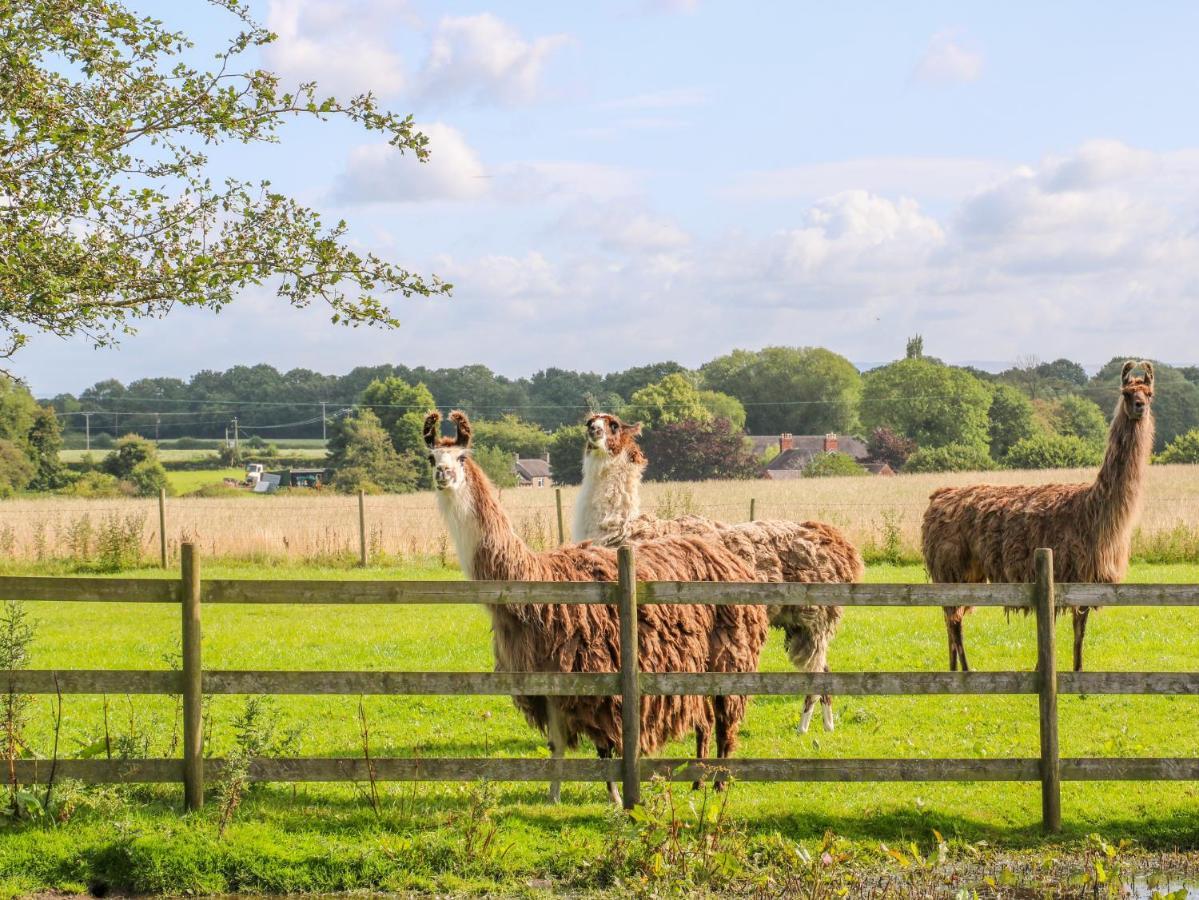 Chequer Stable Brereton